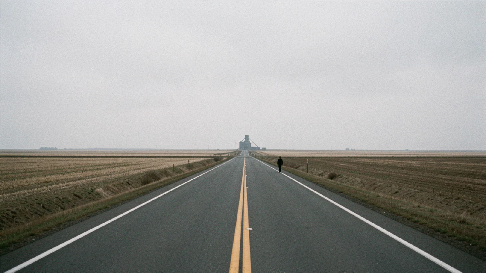 The Mississippi Delta