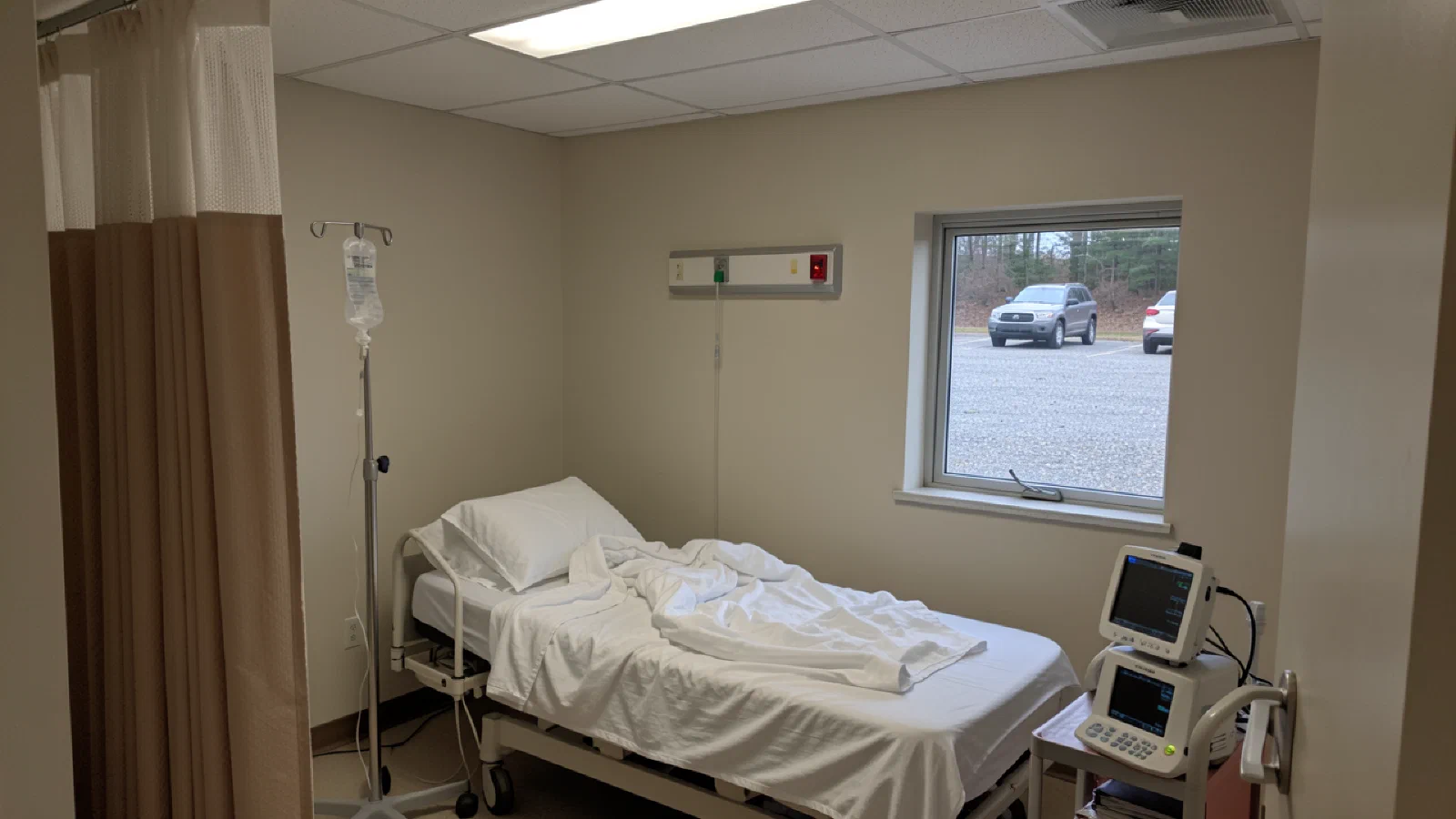 The Disease Burden